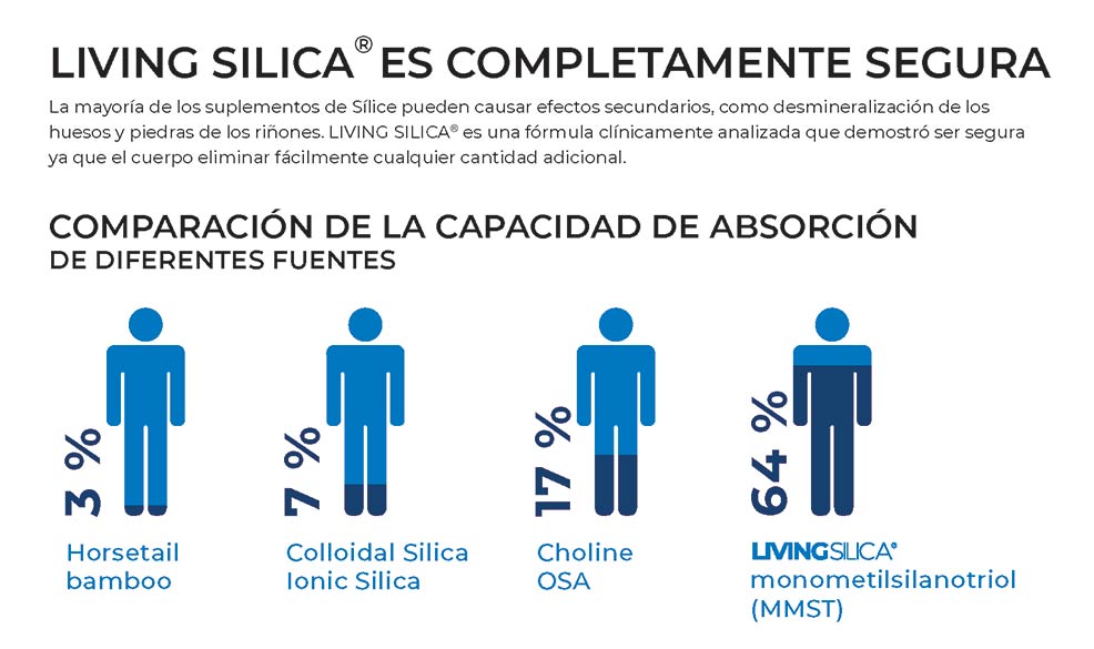 Silica Chart
