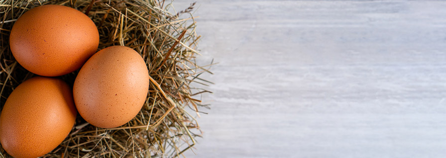 organic raw eggs
