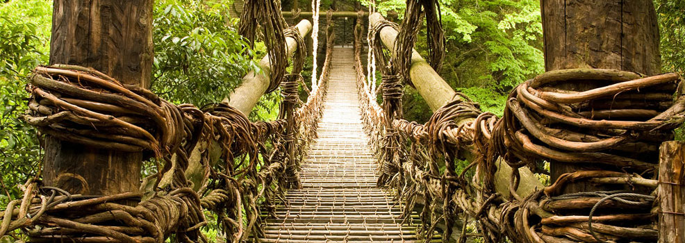 Vine bridge