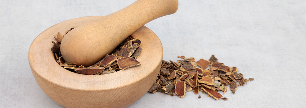 cascara bark herbal medicine