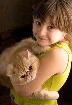 Save Cats