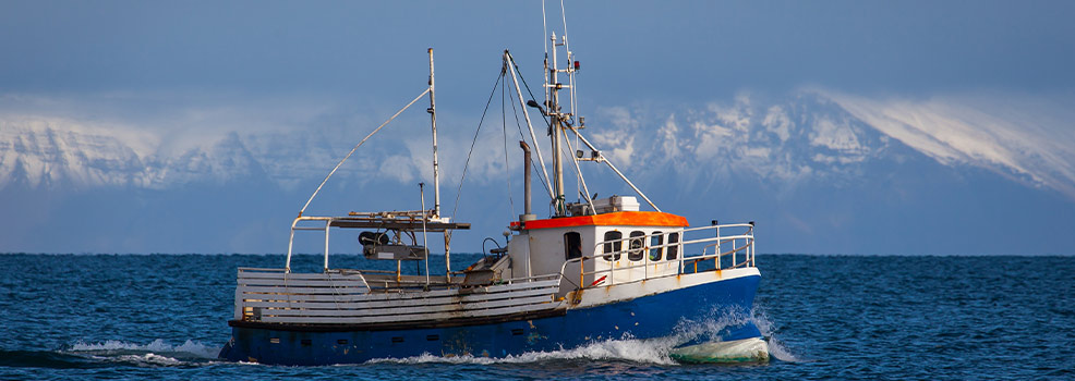 Cod fishing boat