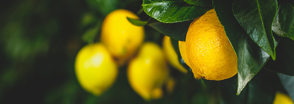 Lemons