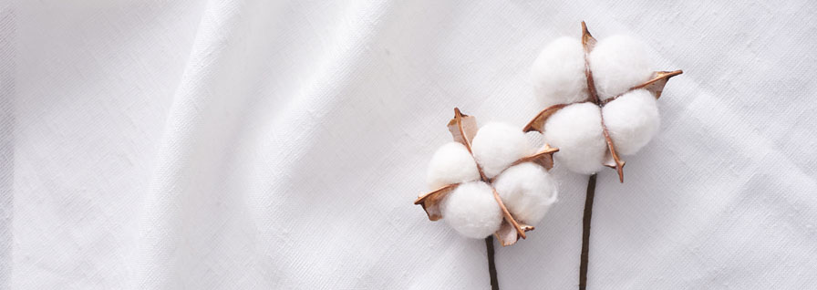 Cotton flower