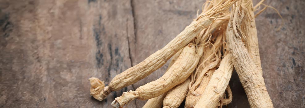Raíz de ginseng seca