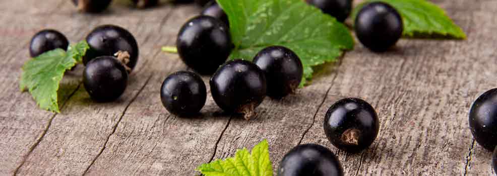 Blackcurrant on wooden table