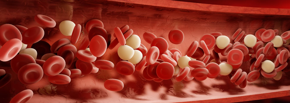 Blood cells