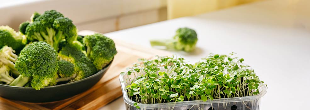 Dr. Mercola® Fermented Organic Broccoli Sprouts | Support Detox Naturally