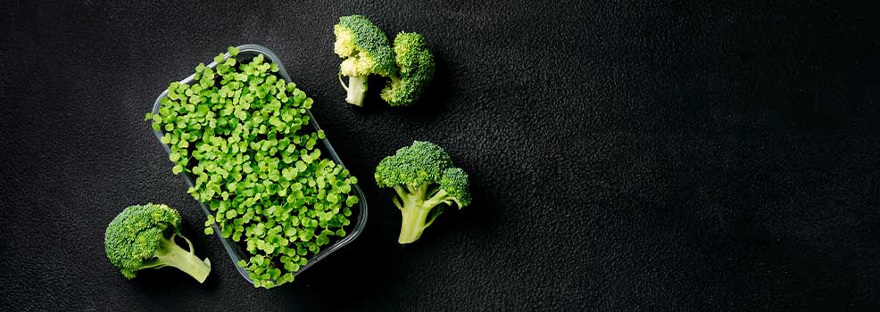Superfood broccoli sprouts