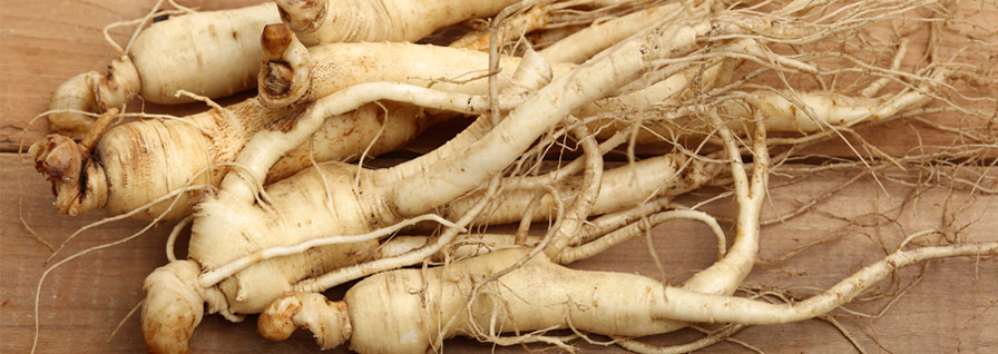 Fresh ginseng used in Fermented Korean Ginseng supplement