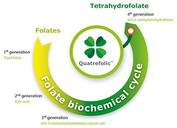 Quatrefolic Folate