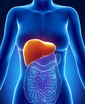 folic acid and liver