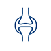 Bone & Joint Health