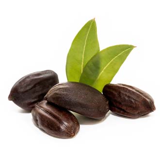 Jojoba Seed