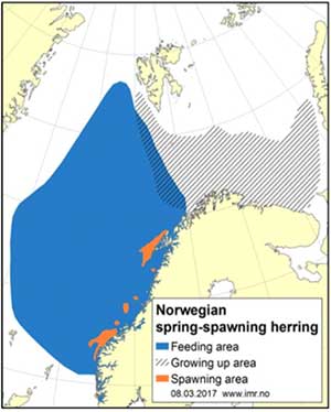 Feeding are of spring-spawning herring in the Norwegian coast