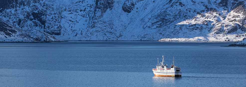 Norwegian Coastline
