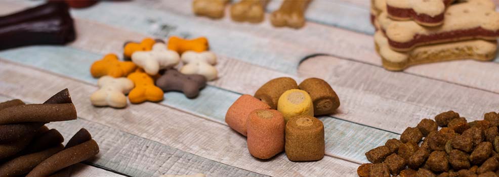 Colored pet biscuit treats on wooden table.