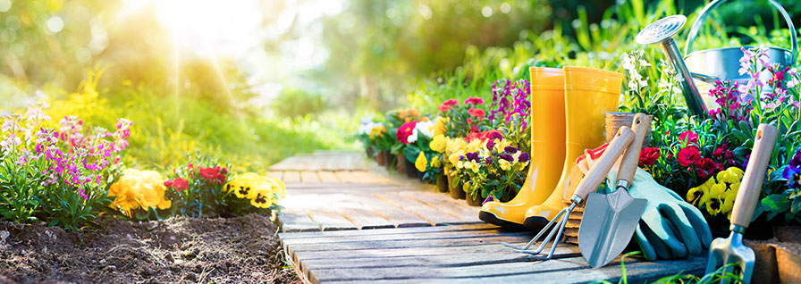 flower gardening
