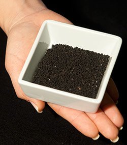 semillas de comino negro
