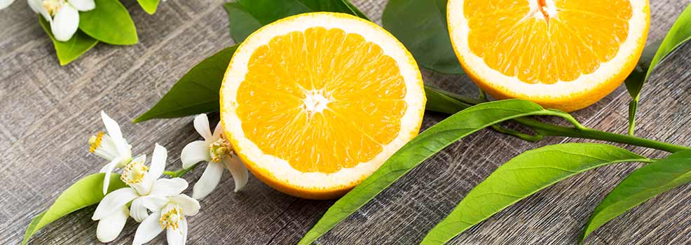Rebanadas de naranja