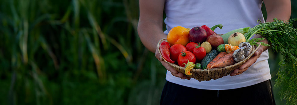 freshly picked vegetables