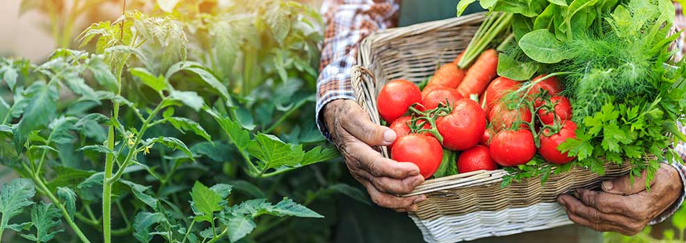 Cesta con verduras frescas