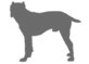 Dosage Large Dogs
