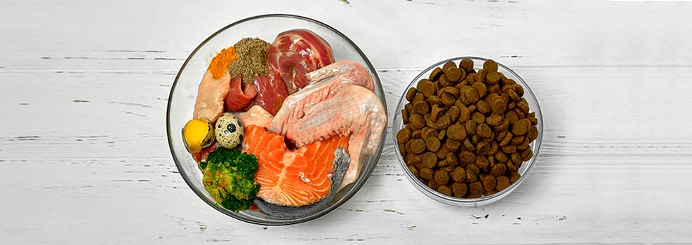 Raw dog food