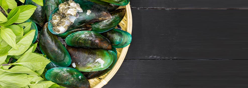 Extracto de mejillón de labios verdes
