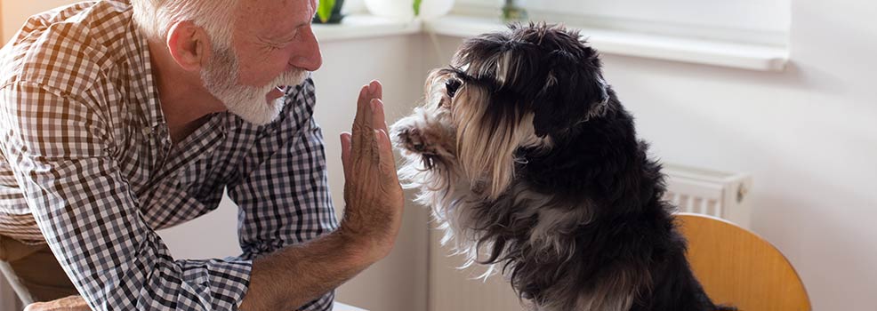 Old man with dog