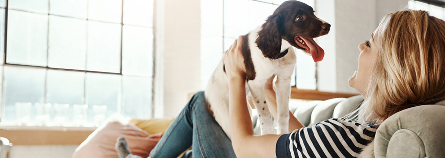 woman playing with dog