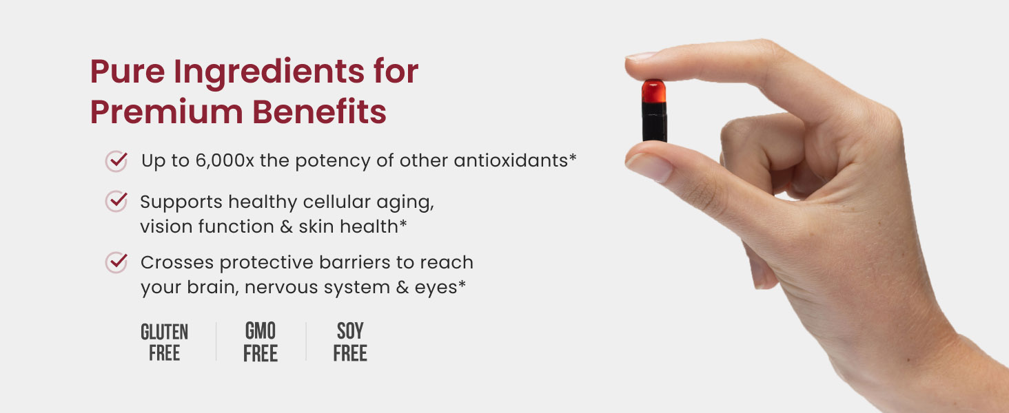 Pure Ingredients for Premium Benefits