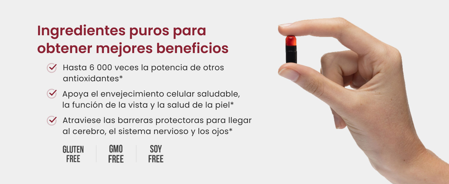 Pure Ingredients for Premium Benefits