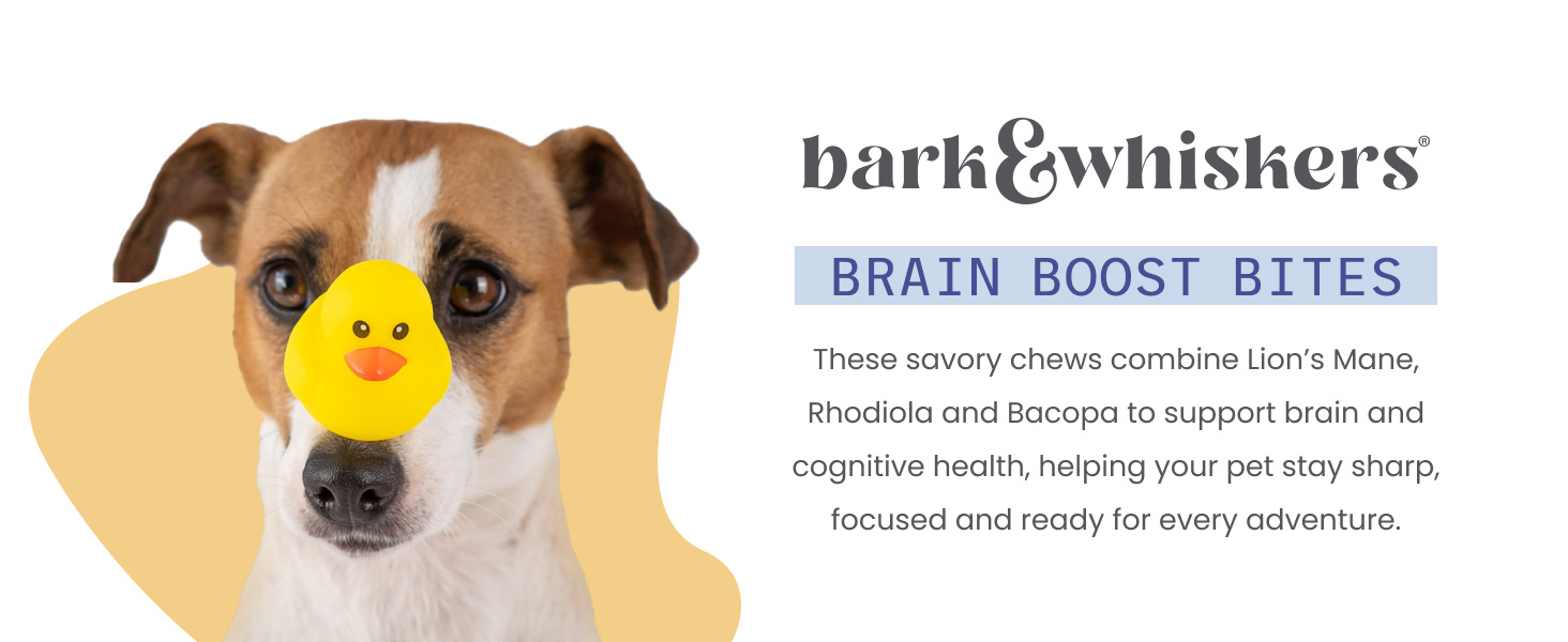 Bark Whiskers Brain Boost Bites