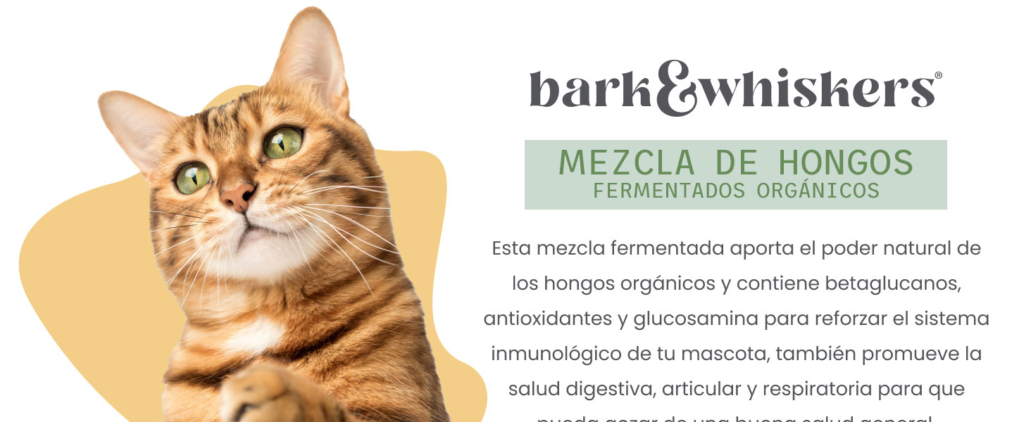 Bark & Whiskers Organic Fermented Mushroom Blend