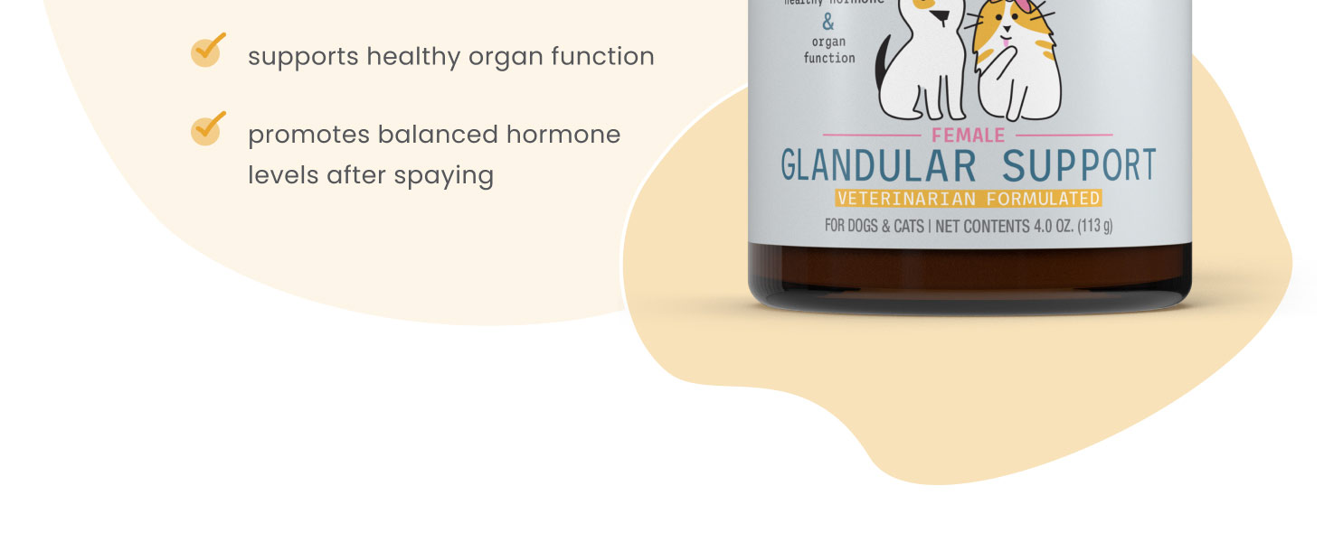 Pure Ingredients for Premium Benefits