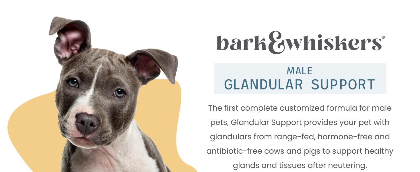 Bark & Whiskers Glandular Support - Male