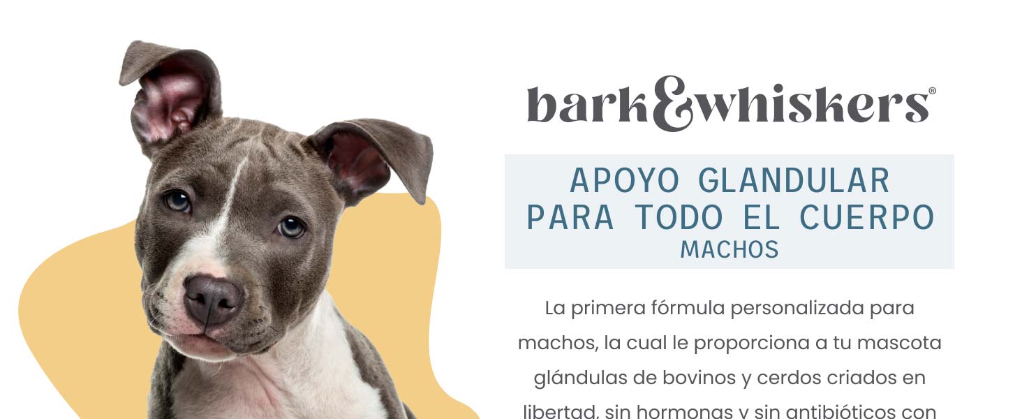 Bark & Whiskers Glandular Support - Male