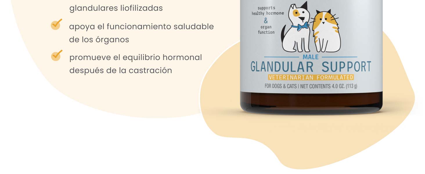 Pure Ingredients for Premium Benefits