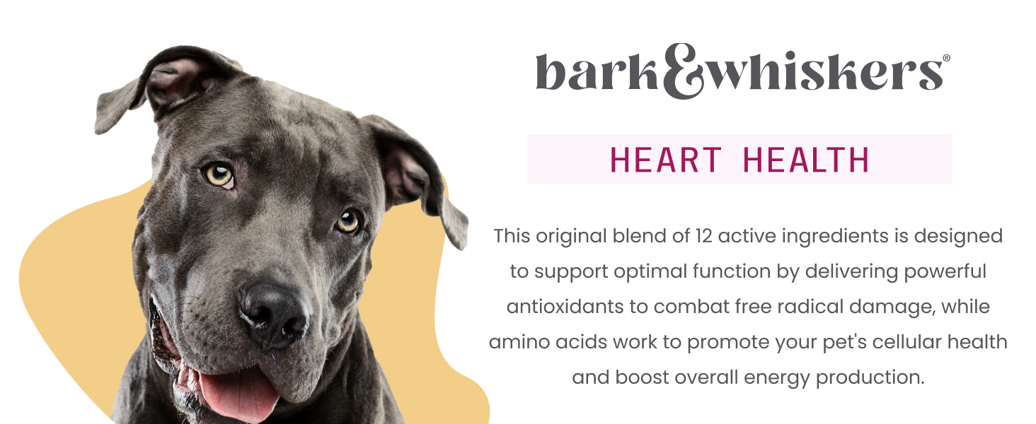Bark & Whiskers Heart Health