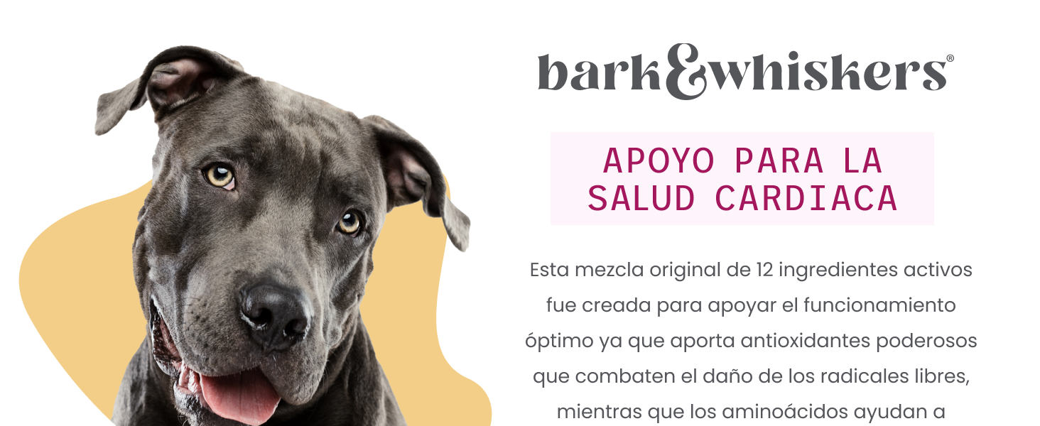 Bark & Whiskers Heart Health