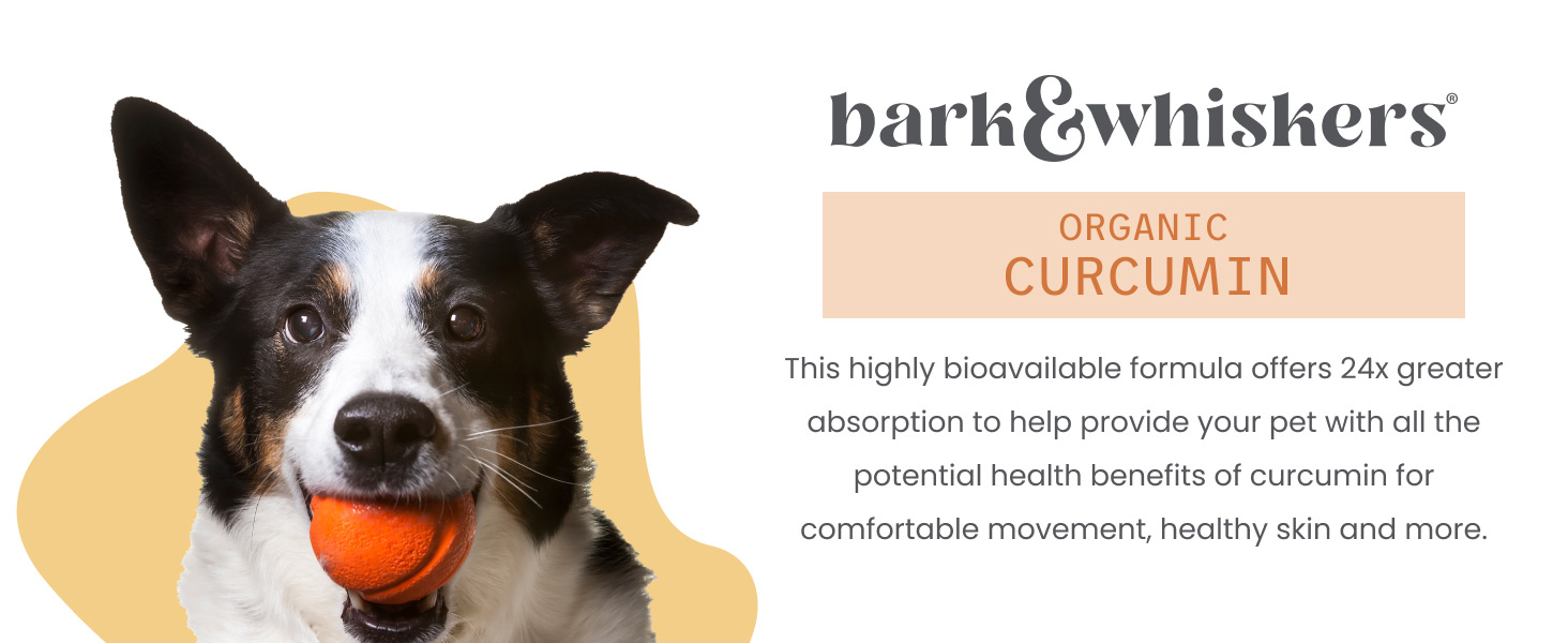Bark & Whiskers Organic Curcumin