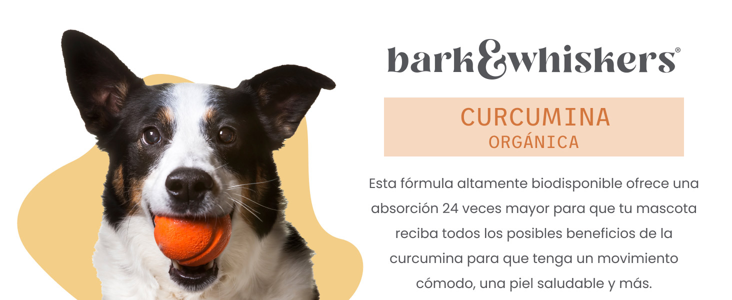 Bark & Whiskers Organic Curcumin