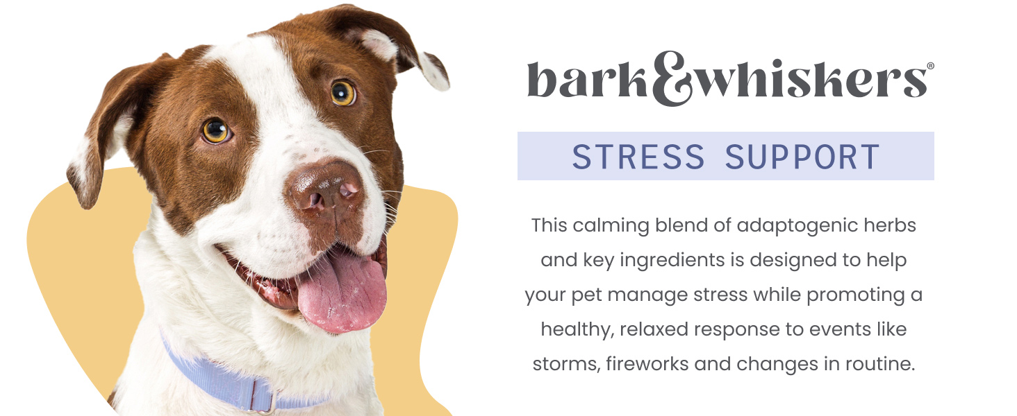 Bark & Whiskers Stress Support