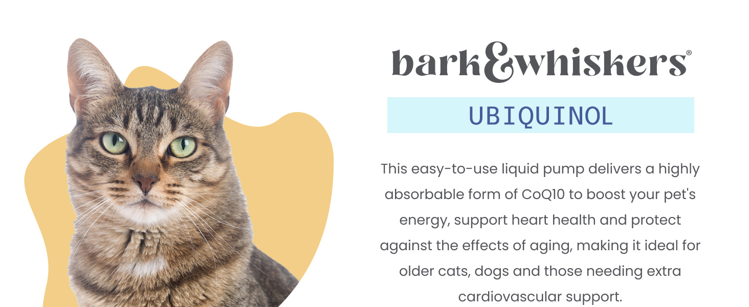Ubiquinol Liquid Pump