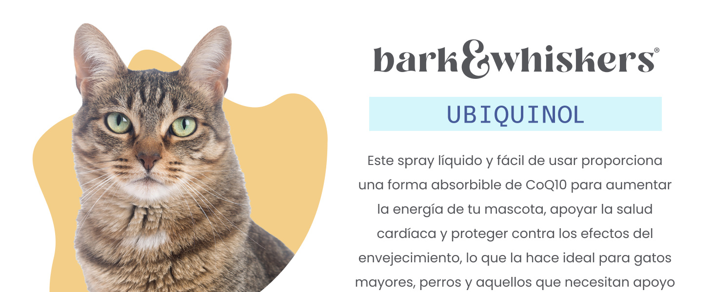 Ubiquinol Liquid Pump