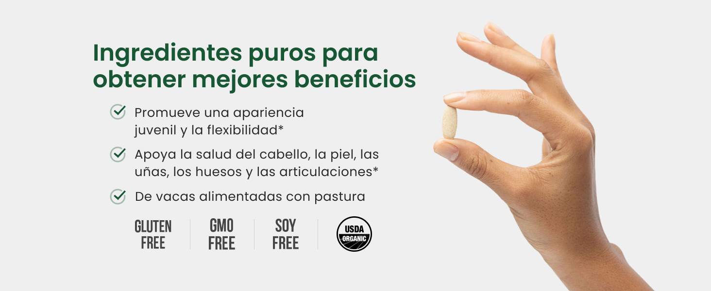 Pure Ingredients for Premium Benefits