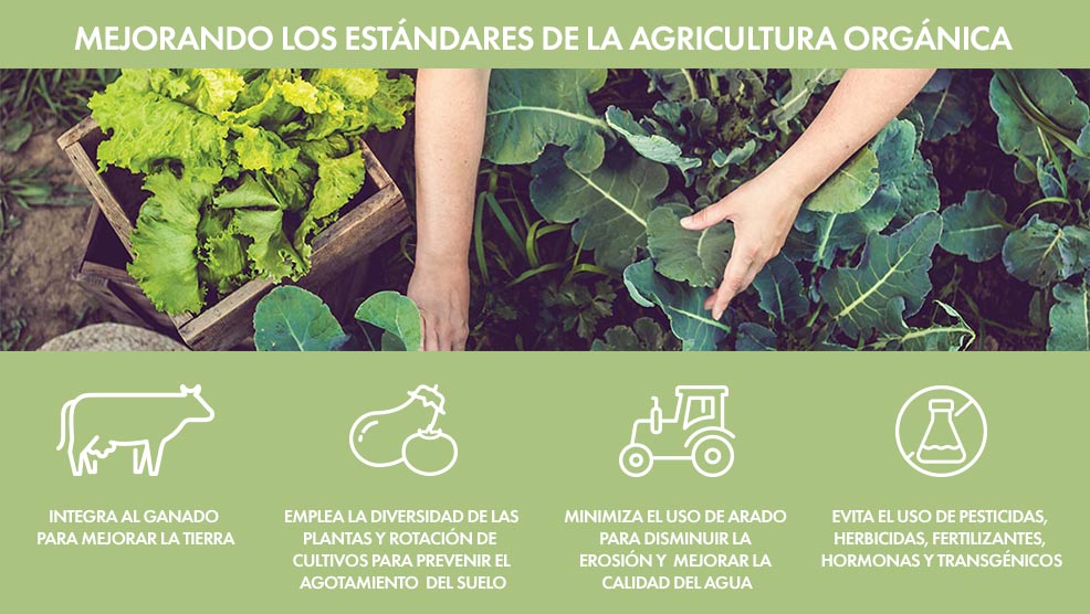 Green Vegetables Solspring