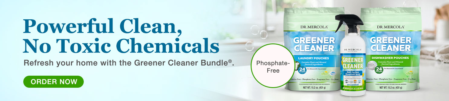 Healthy Home Grener Cleaner