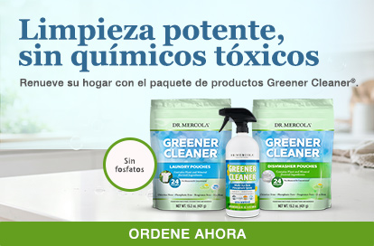 Healthy Home Grener Cleaner